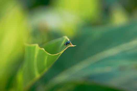 Objevte Nejlepší Fotografické Lokality v Praze pro Úchvatné Snímky